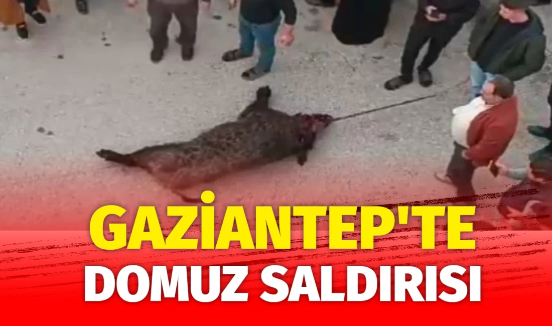 Gaziantep’in Şehitkamil ilçesine bağlı Aşağı Arıl Mahallesi’nde yaşanan üzücü olayda,