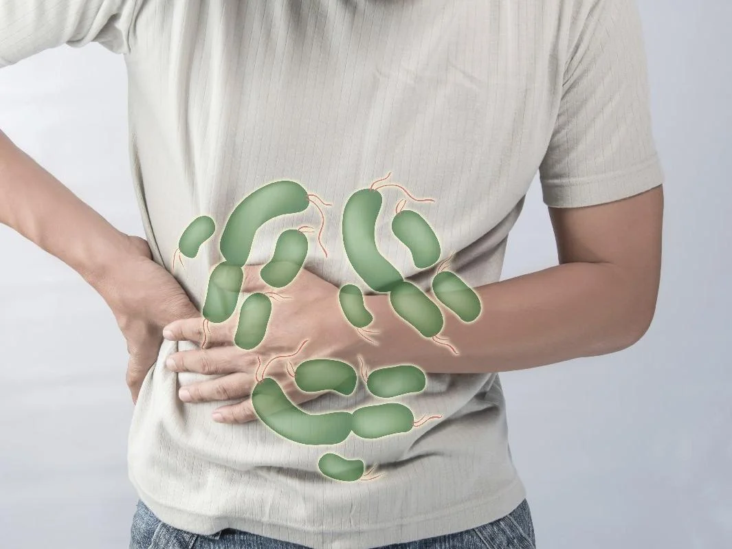 Salmonella Bakterisi ve Sağlığımız Üzerindeki Etkileri