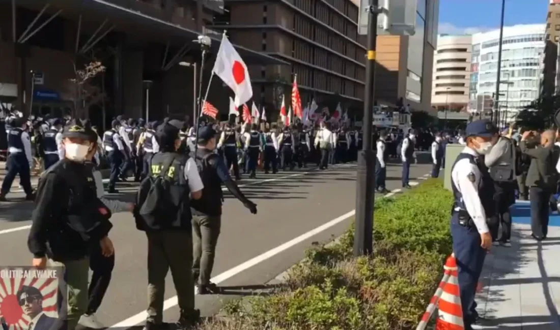 DEM Partisi Genel Başkan Yardımcısı Meral Danış Beştaş, Japonya’da yaşayan
