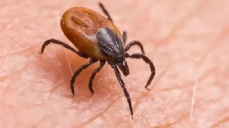 Bursa Hayat Hastanesi Yönetim Kurulu Başkanı Enfeksiyon Hastalıkları Uzmanı Dr.