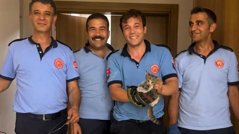 Hasan Kalyoncu Üniversitesi'nde Kedi Kurtarma Operasyonu: İtfaiye 5 Saat Mücadele Etti! 1 universitede kedi kurtarma operasyonu