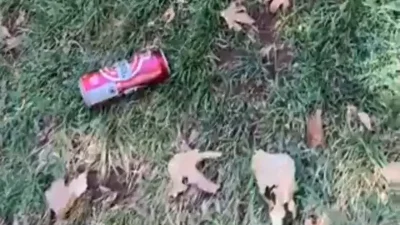 Gaziantep’te Atatürk Mahallesi’nde yaşayan vatandaşlar, Buhara Parkı ve çevresindeki parklarda