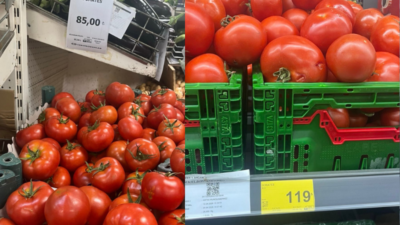 Gaziantep’te Domates Fiyatında Yerel Market ile Zincir Market Arasında Uçurum Fark! Gaziantep'te yerel esnafta kilogramı 85 TL olan domates, ulusal zincir