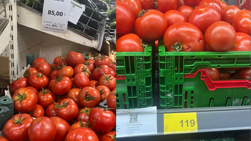 Gaziantep’te Domates Fiyatında Yerel Market ile Zincir Market Arasında Uçurum Fark! Gaziantep'te yerel esnafta kilogramı 85 TL olan domates, ulusal zincir