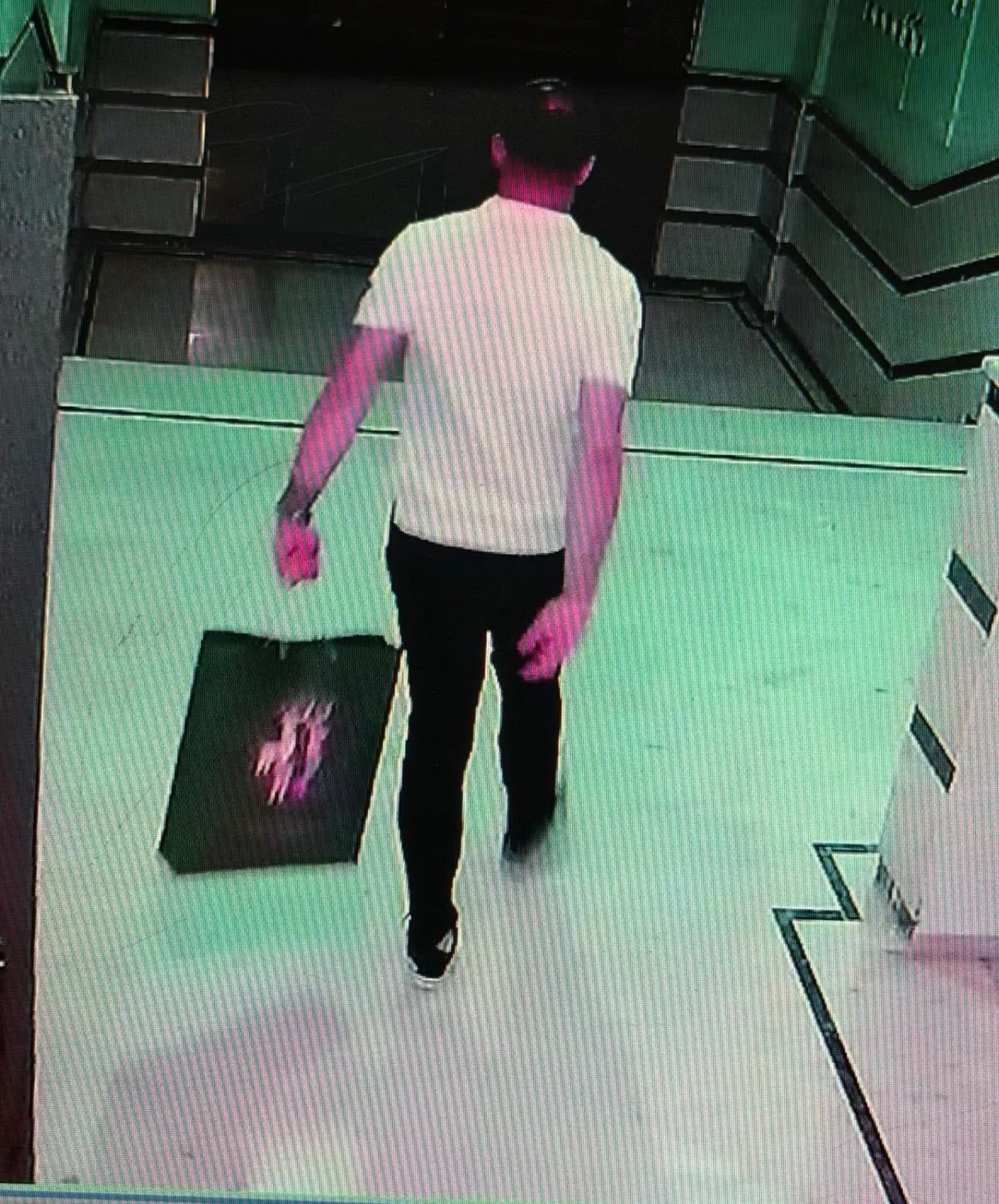 İbrahimli'ye Dadanan Hırsız Güvenlik Kameralarına Yakalandı! 1 hırsız kamerada